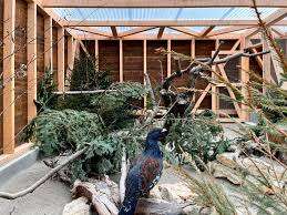 Tierpark Augusta Raurica – Bild 2