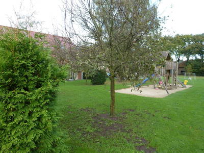 Hof Roßkamp - Hans-Gerd Roßkamp – Bild 4