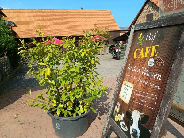 Hof Cafe in den Wiesen – Bild 3