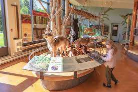 Gatineau Park Visitor Centre – Bild 2