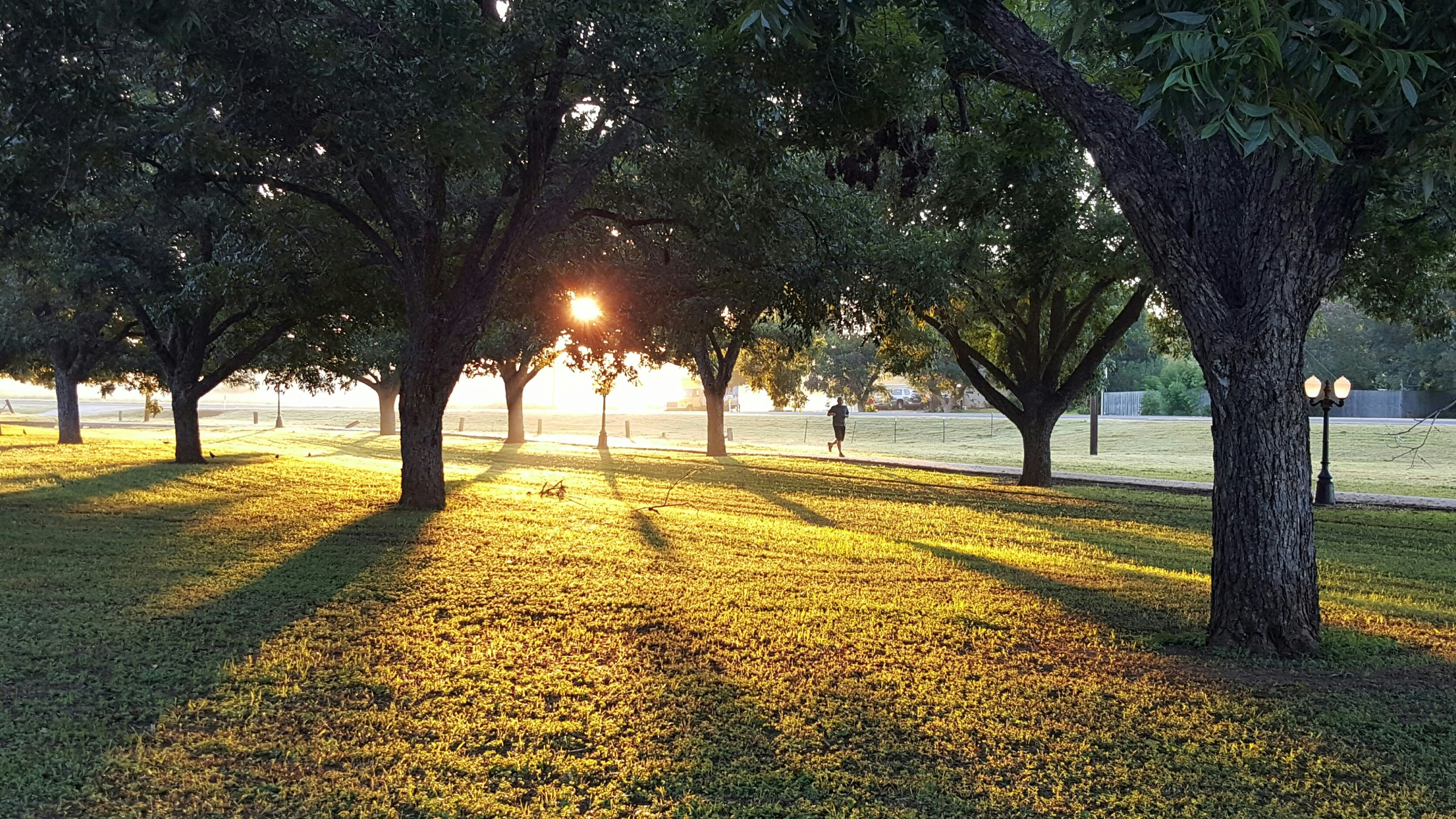 Carl-Goerdeler-Park – Bild 5