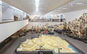 Naturmuseum St. Gallen – Bild 2