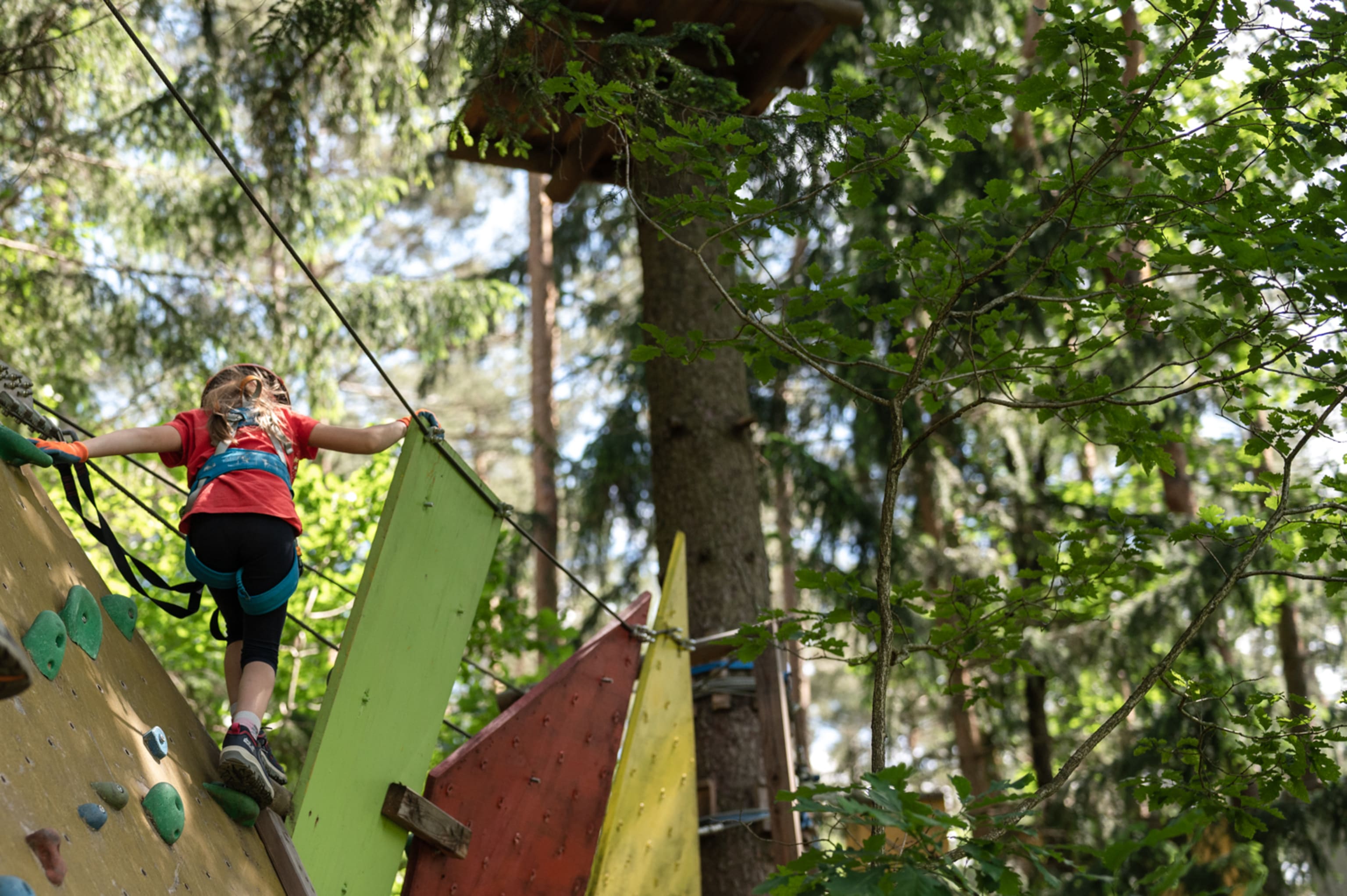 Kletterpark Natur macht Sinn in Wartmannstetten – Bild 3