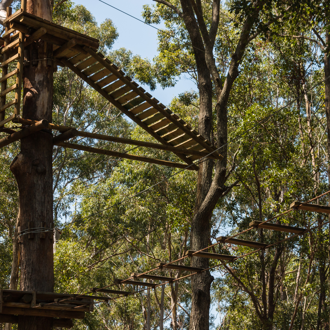 Kletterpark Natur macht Sinn in Wartmannstetten – Bild 5