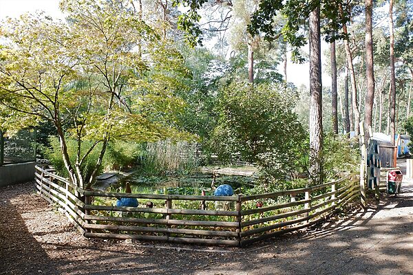 Haus Natur und Umwelt – Bild 2