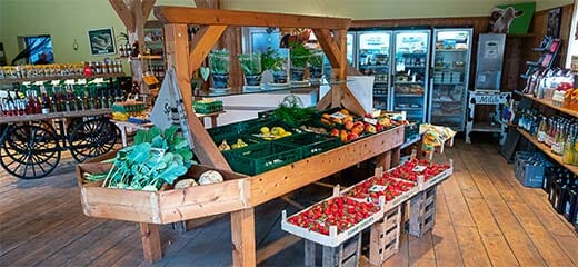 Hof Falkenhusen – Bild 2