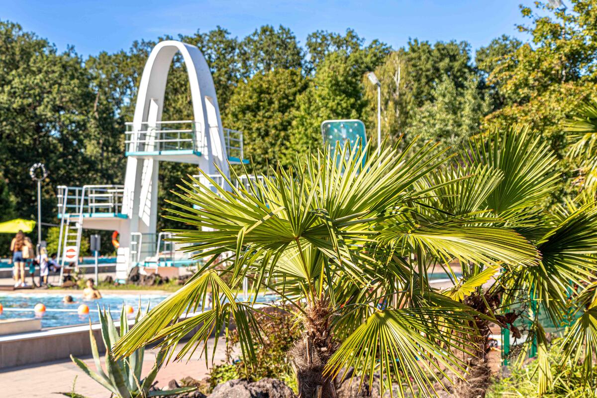 Schwimmbad Freibad Waldschwimmbad Dietzenbach – Bild 2