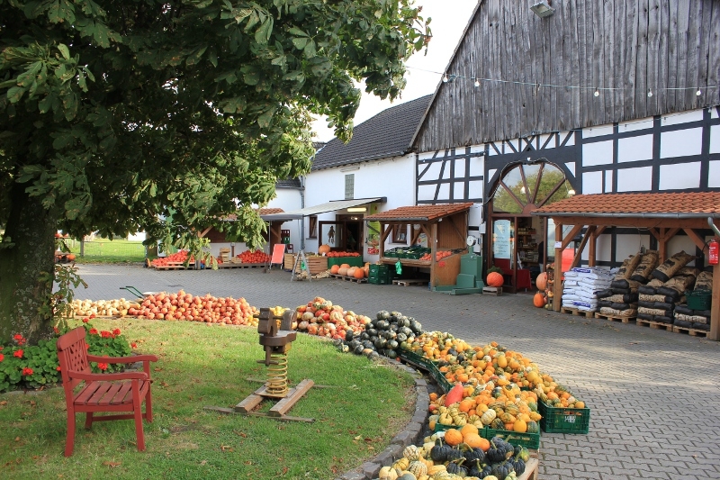 Hof Sanders GbR – Bild 5