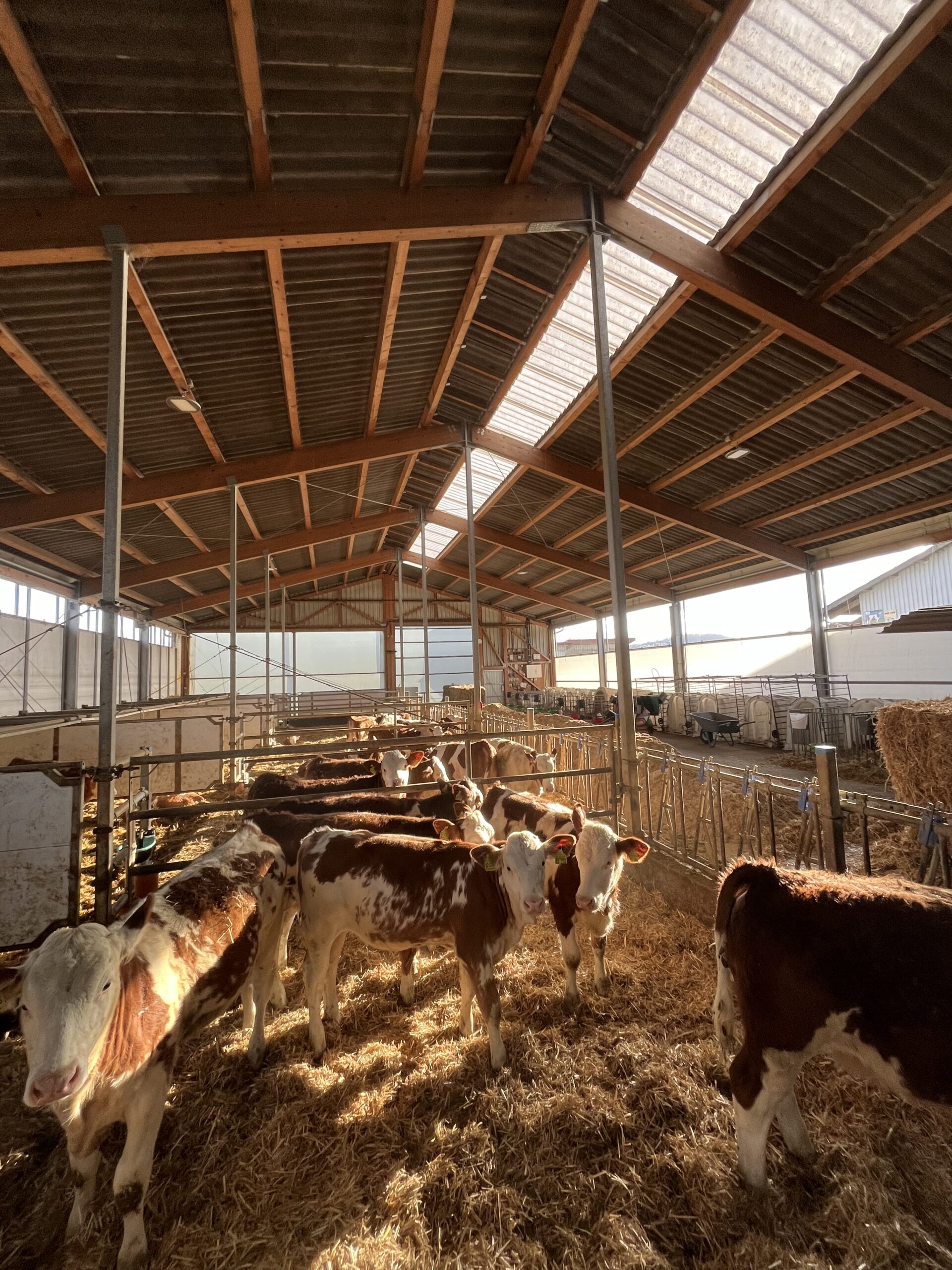 Milchhof Gommel – Bild 2