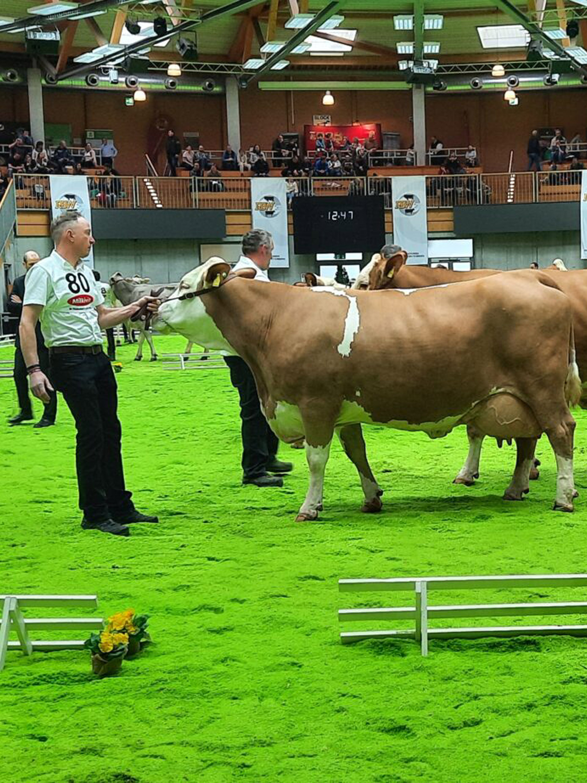 Milchhof Gommel – Bild 3