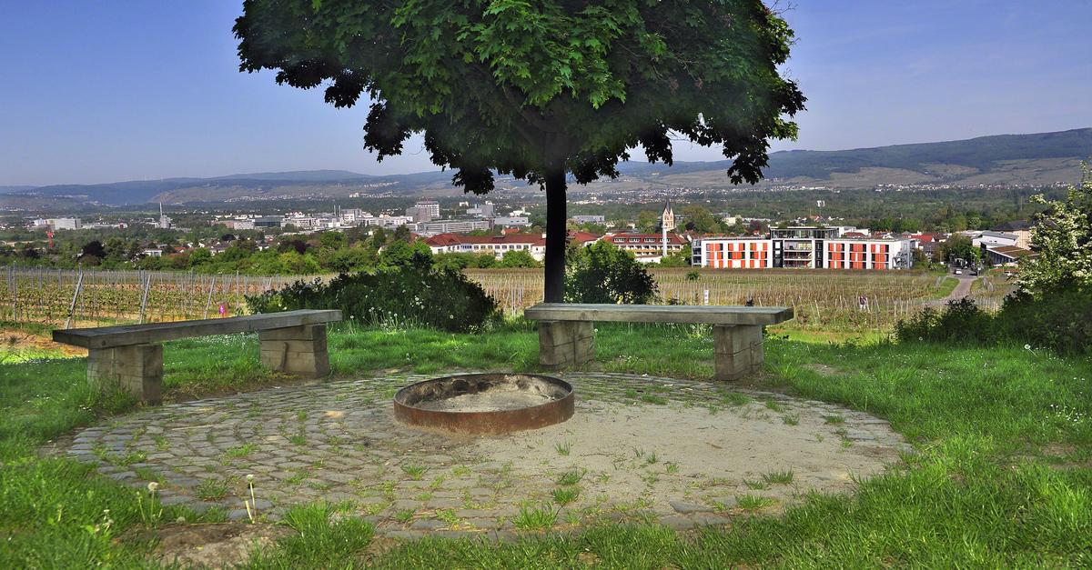 Grillplatz am Ikasee – Bild 2