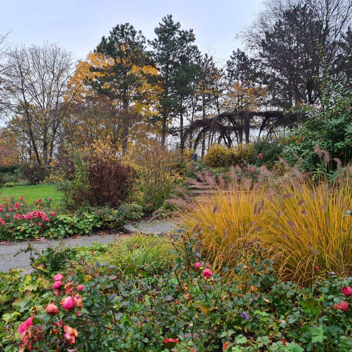 Bürgerpark – Bild 5