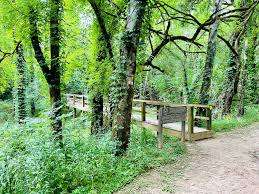 Henry St. Park – Bild 5