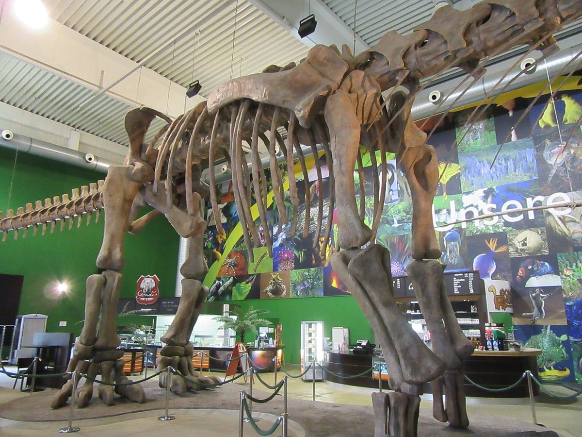 GONDWANA - Das Praehistorium – Bild 1