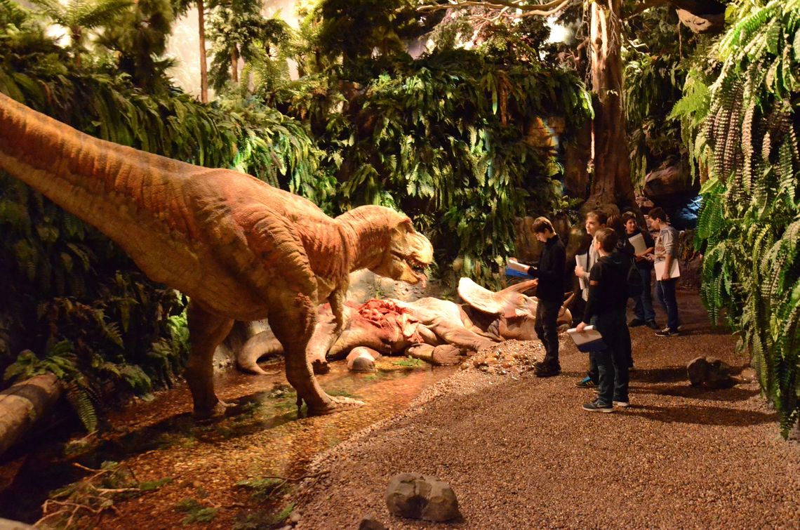 GONDWANA - Das Praehistorium – Bild 2