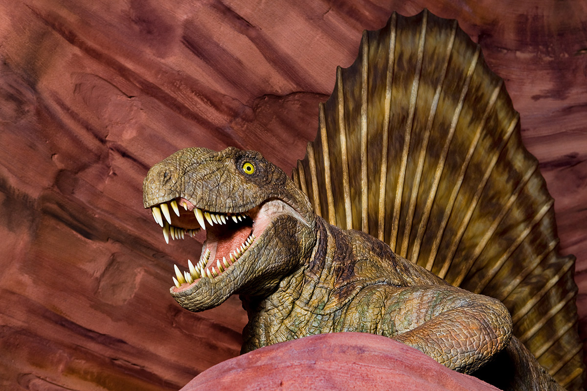 GONDWANA - Das Praehistorium – Bild 3