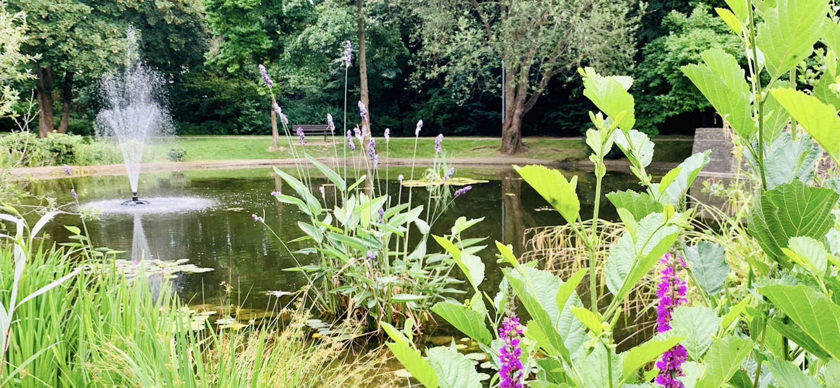 Park Reitersdorf – Bild 4