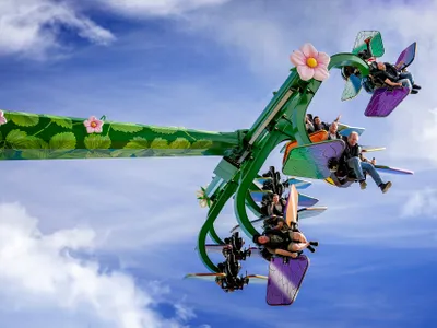 Karls Majas wilde Schwestern – Bild 3