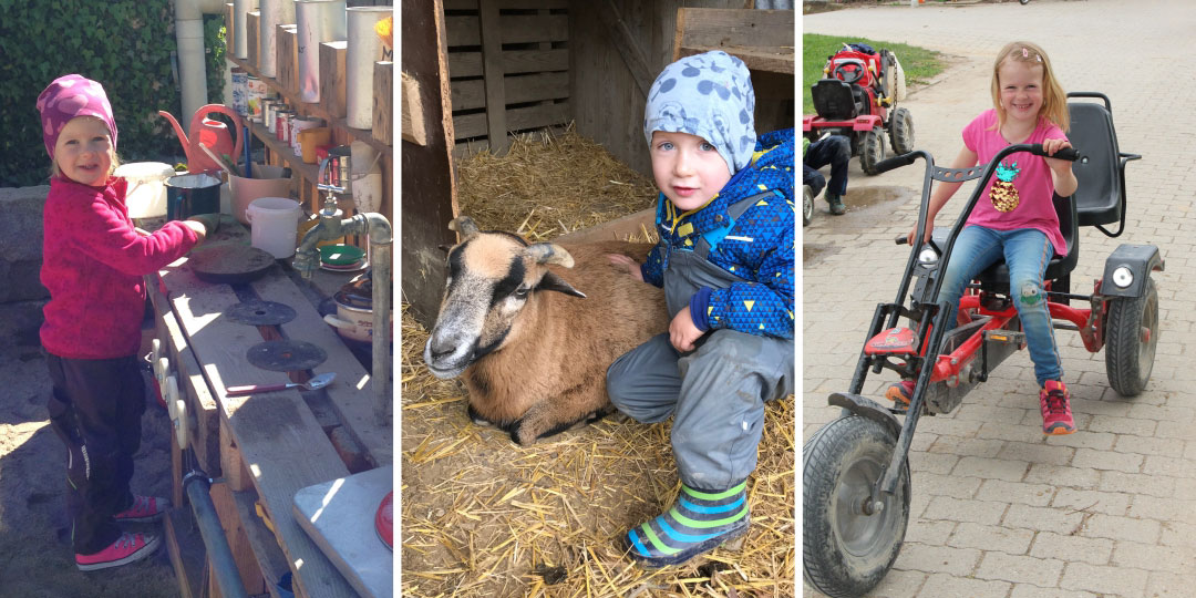 Hofladen Luisenhof – Bild 4