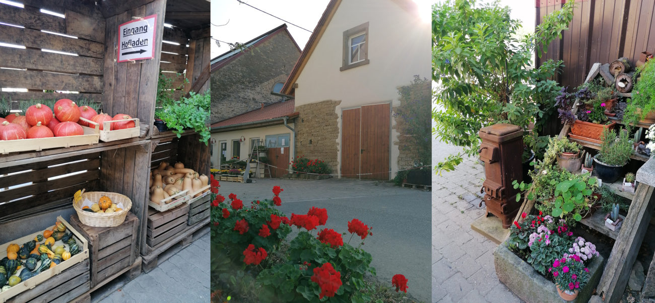 Hofladen Luisenhof – Bild 6