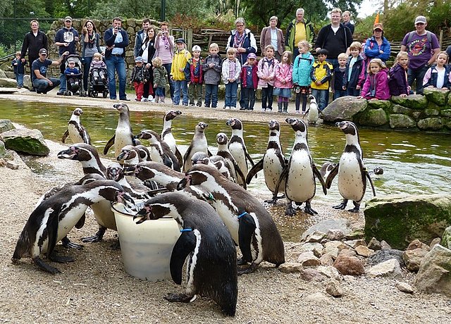 NaturZoo Rheine – Bild 4