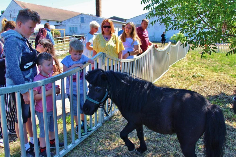 Köllner's Tiererlebnispark – Bild 1