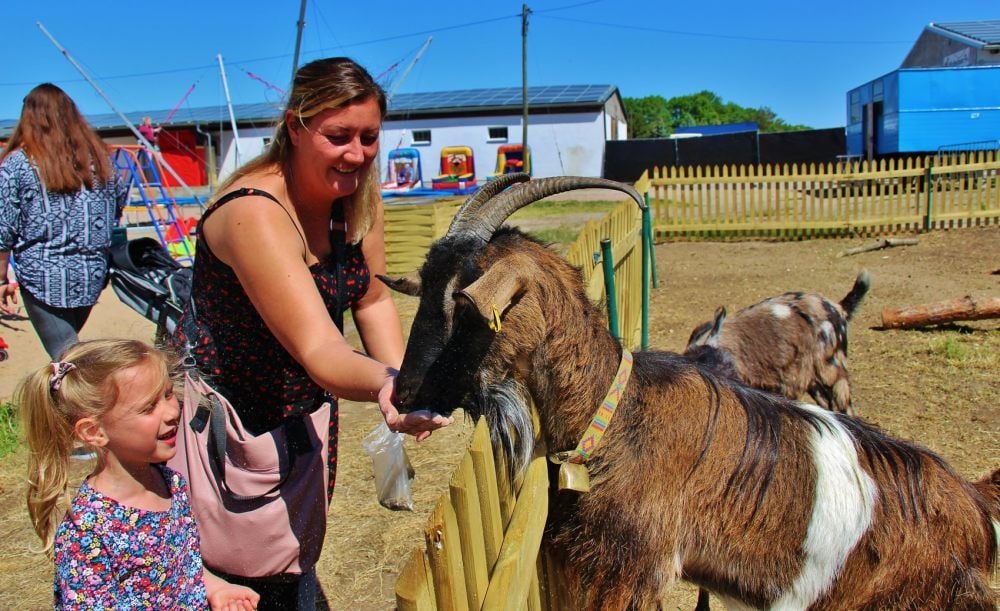 Köllner's Tiererlebnispark – Bild 2
