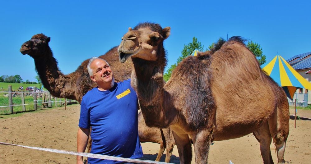 Köllner's Tiererlebnispark – Bild 3