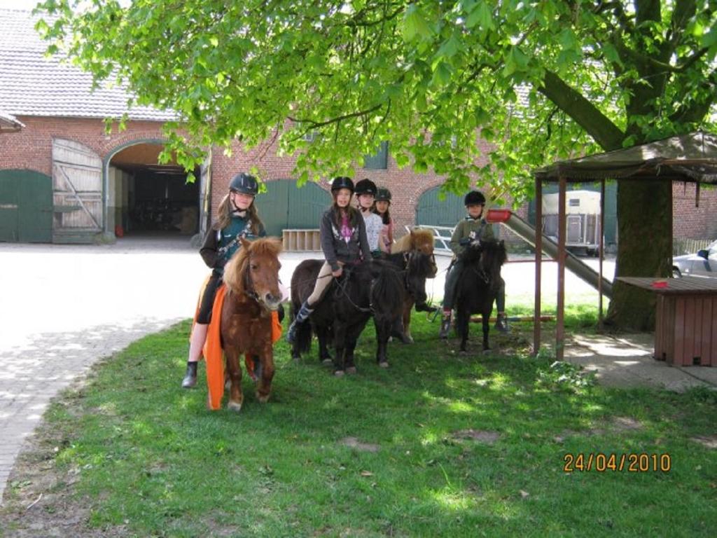 Ferienhof Dirk Rustemeier – Bild 3