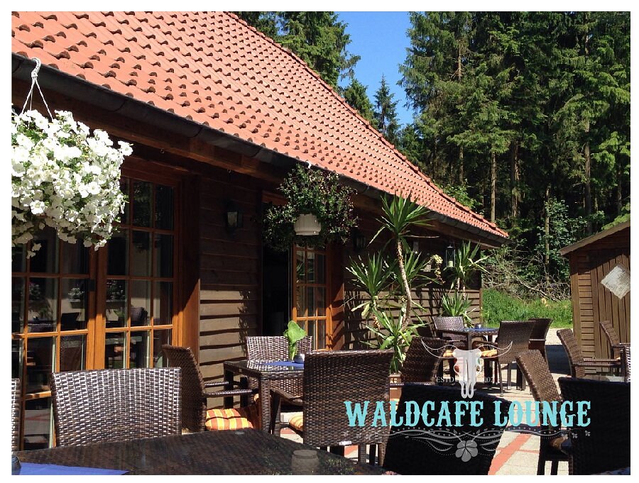 Waldcafé Lounge "Altes Forsthaus" – Bild 4