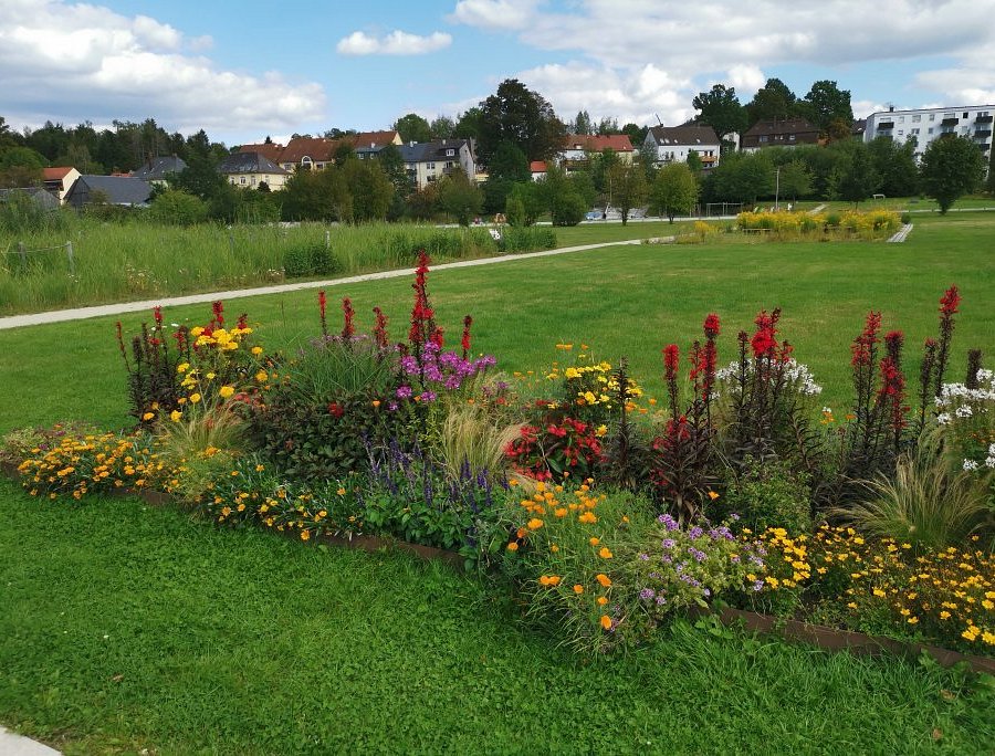 Spielplatz im Auenpark – Bild 4