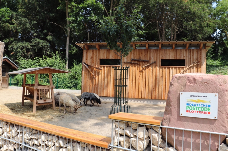 Herzogenriedpark Nutztierarche/Bauernhof – Bild 2