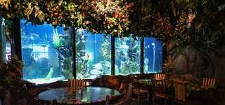 Rainforest Cafe Niagara Falls Canada – Bild 3