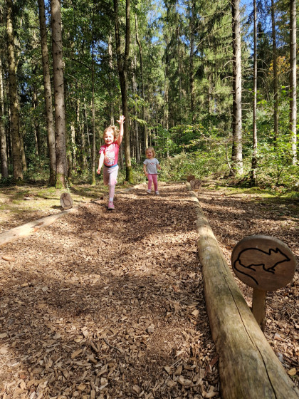 Waldy Walderlebnisweg Hechingen – Bild 2