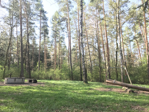 Waldy Walderlebnisweg Hechingen – Bild 4