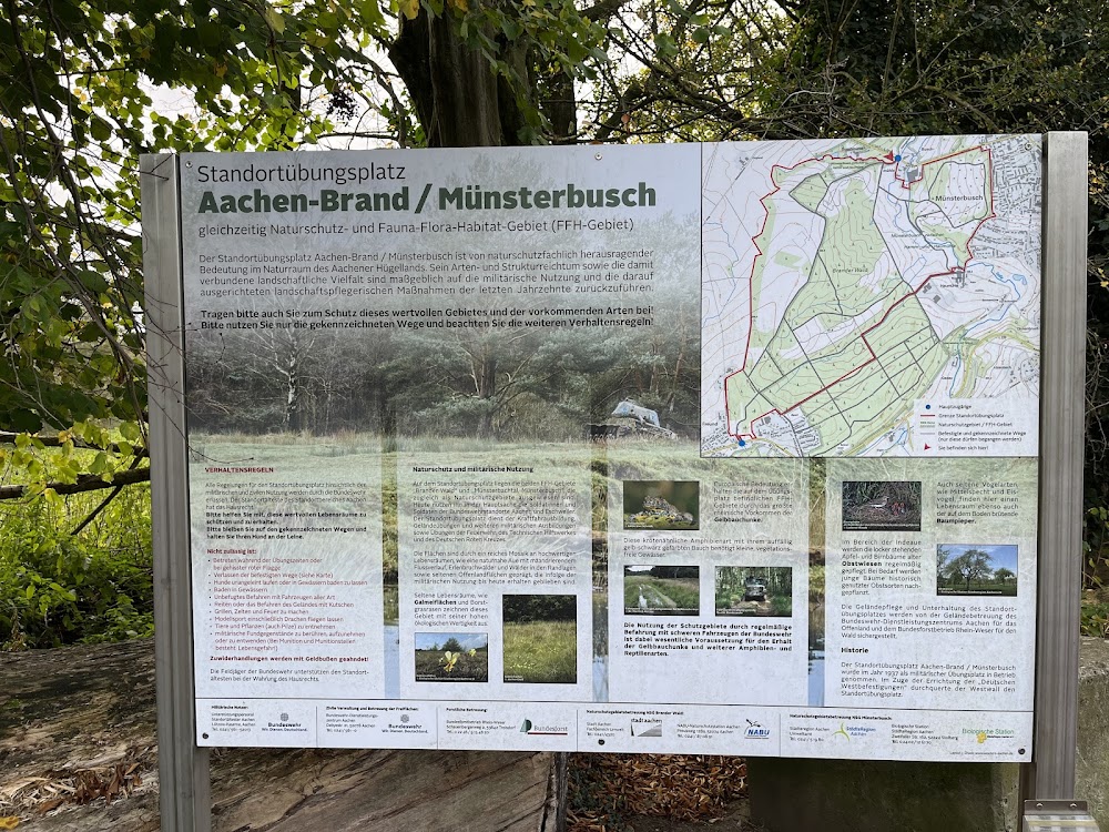 Parkplatz Waldschänke Breiniger Berg – Bild 3