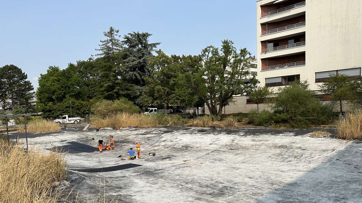 Schwanenteichanlage – Bild 5