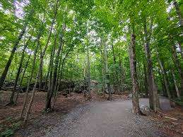 Parc Bérubé – Bild 5