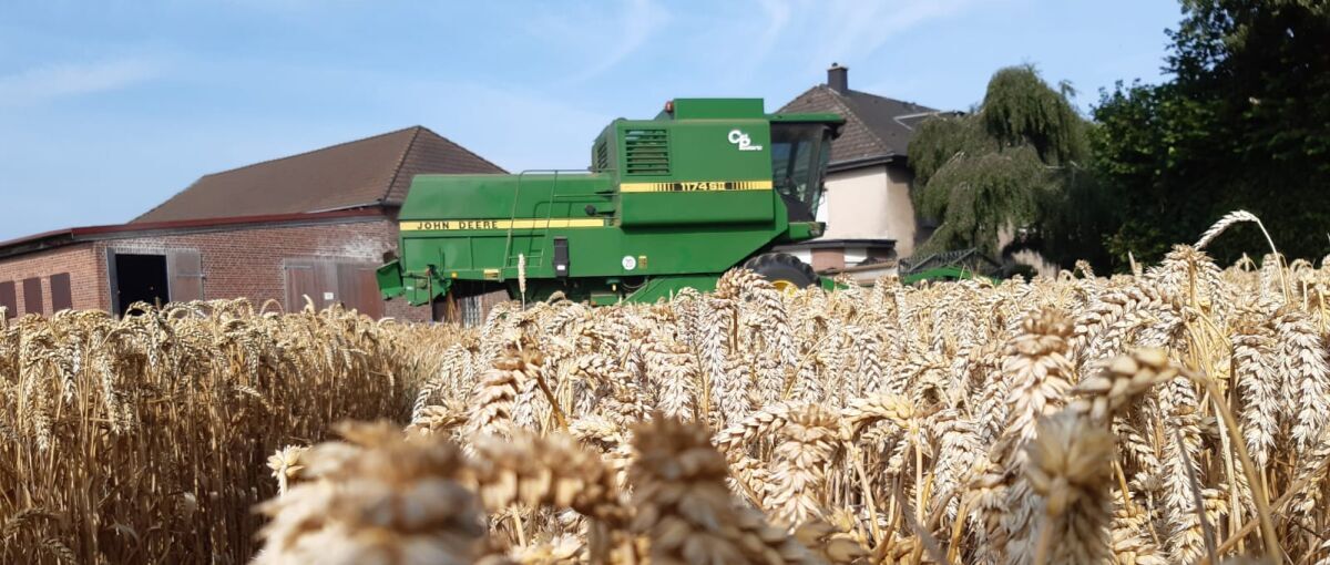 Buscherhof – Bild 1