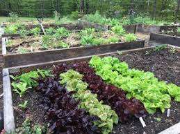 Stan 'Chook' Maxwell Memorial Park – Bild 5