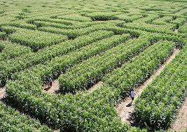 Fletcher's Farm – Bild 1