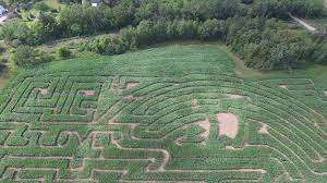 Fletcher's Farm – Bild 2