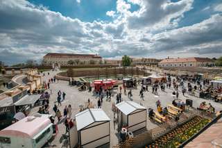 Schloss Hof â Bild 4