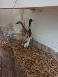 Hofgut Hof Grabow – Bild 5