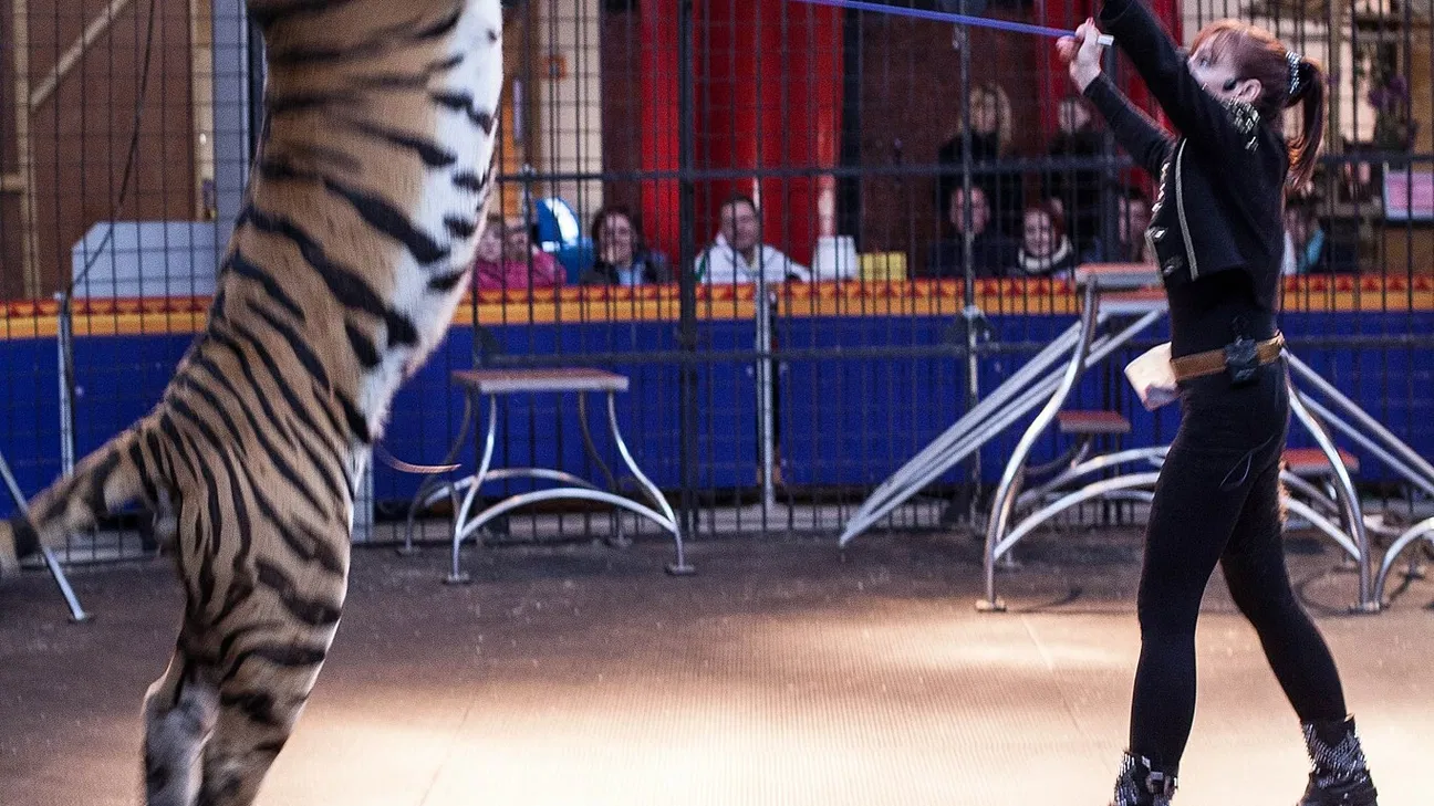 Erlebnis- & Tigerpark Dassow – Bild 3