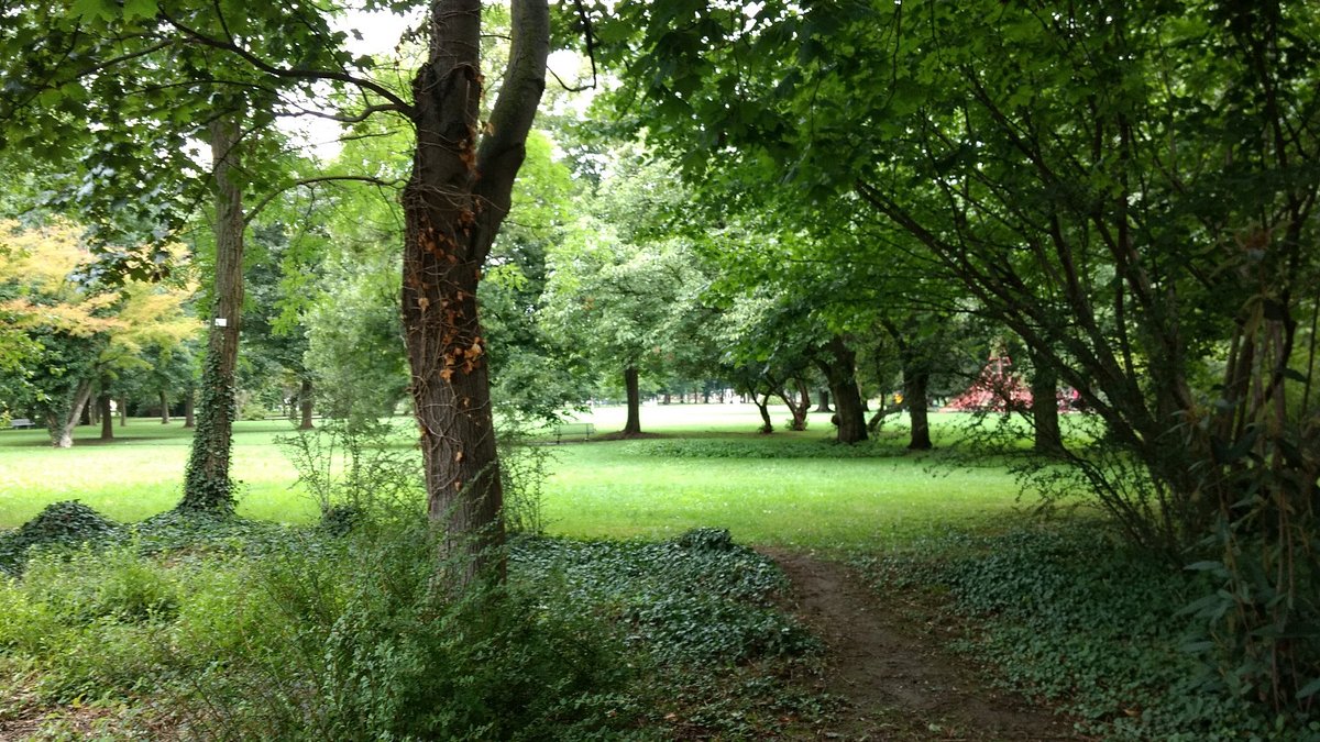 Bärenwiese – Bild 1