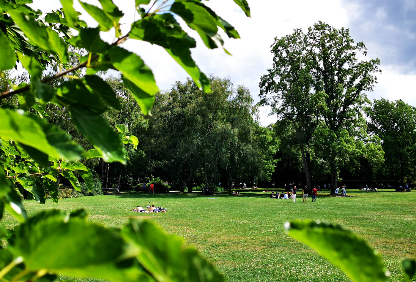 Bärenwiese – Bild 5