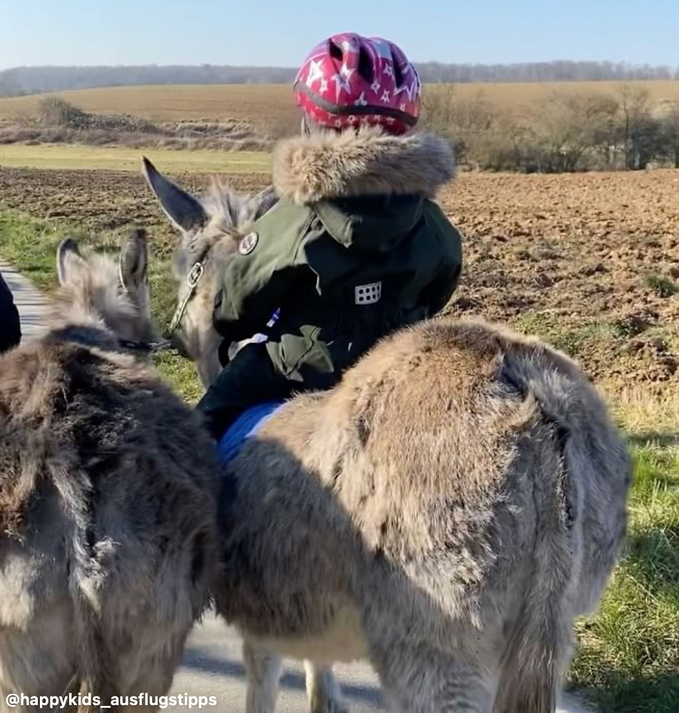 Erlebnis-Bauernhof Vogler – Bild 2