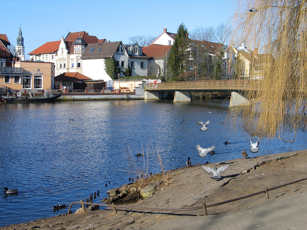 Dammaschwiese – Bild 2