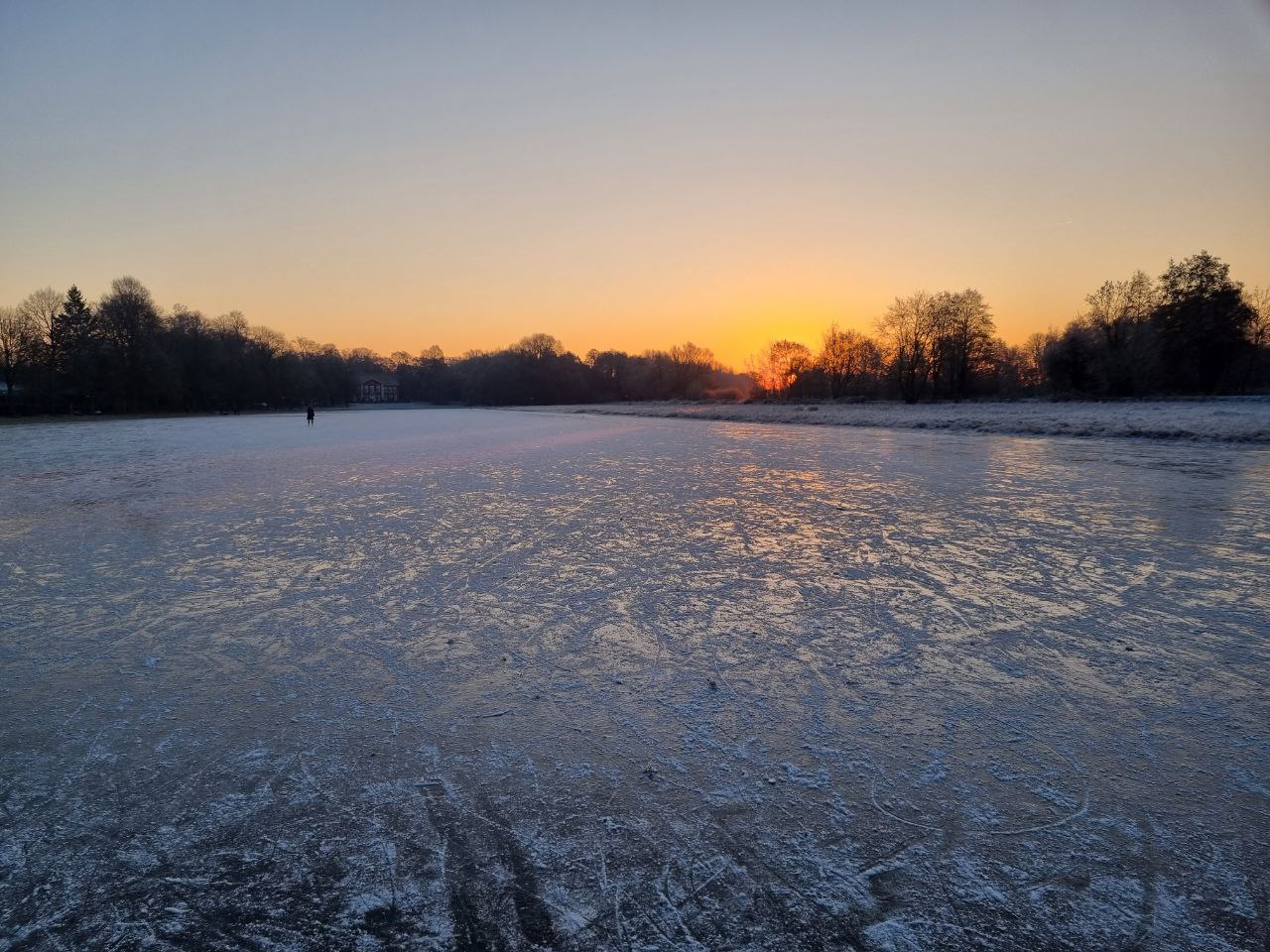 Dammaschwiese – Bild 5